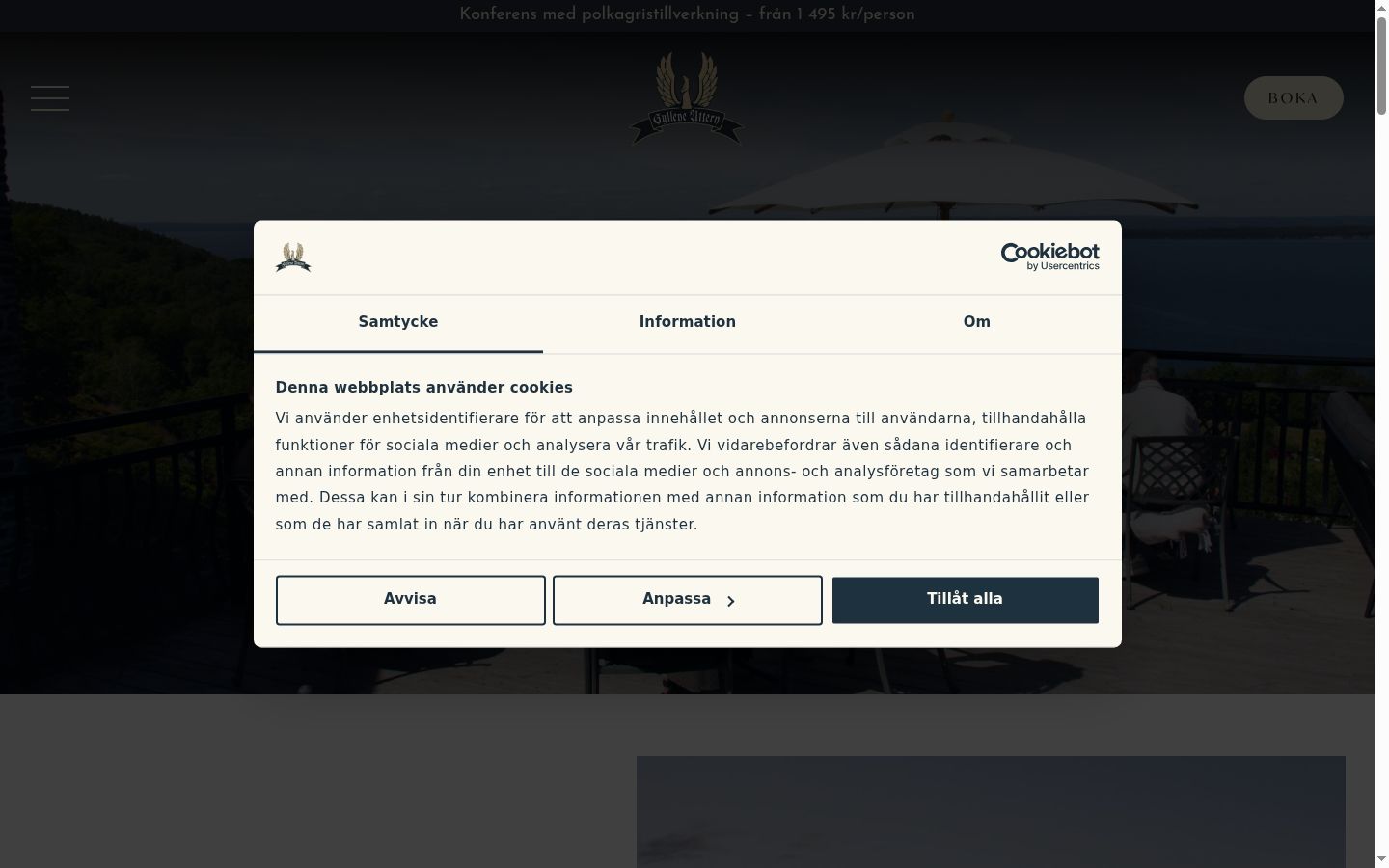 Screenshot of the consent banner shown before any interaction