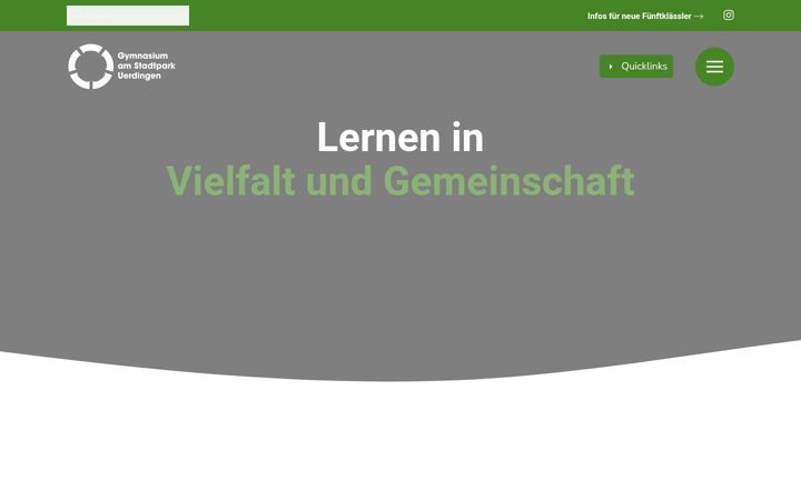 Screenshot of gymnasium-am-stadtpark.de