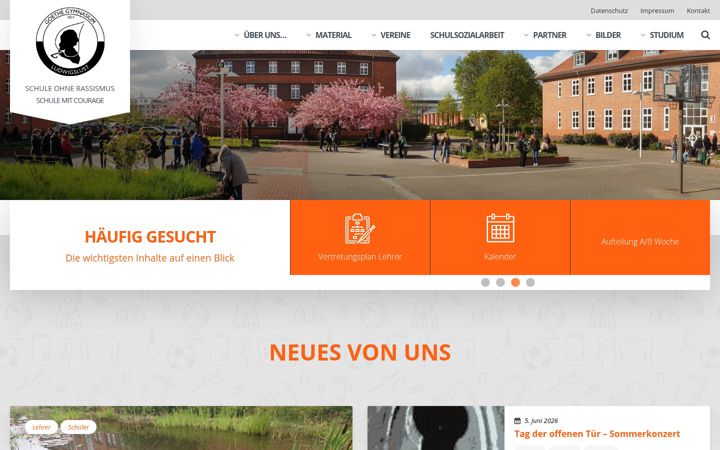 Screenshot of gymnasium-ludwigslust.de