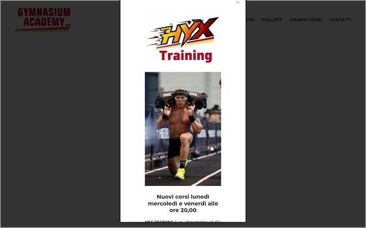 Screenshot of gymnasiumacademy.com