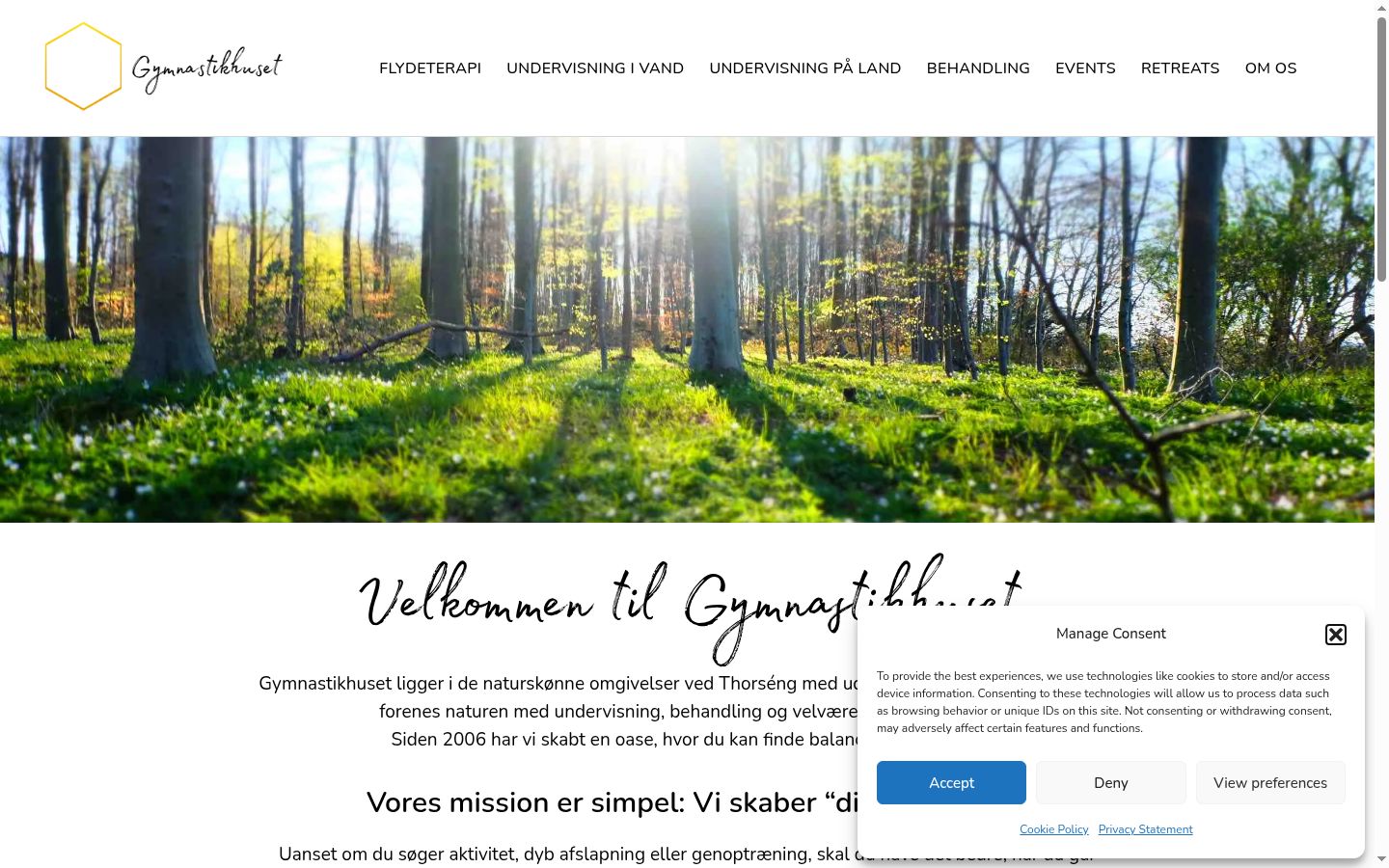 Skærmbillede af samtykkebanneret, som det blev vist før nogen interaktion