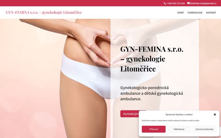 Screenshot of gyn-femina.cz