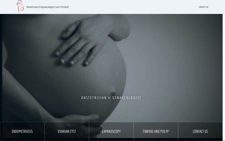 Screenshot of gynaecologistlouistrichardt.co.za
