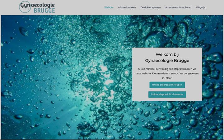 Screenshot of gynbrugge.be