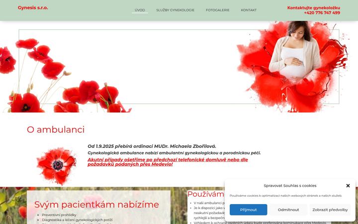 Screenshot of gynekologie-pardubice.cz