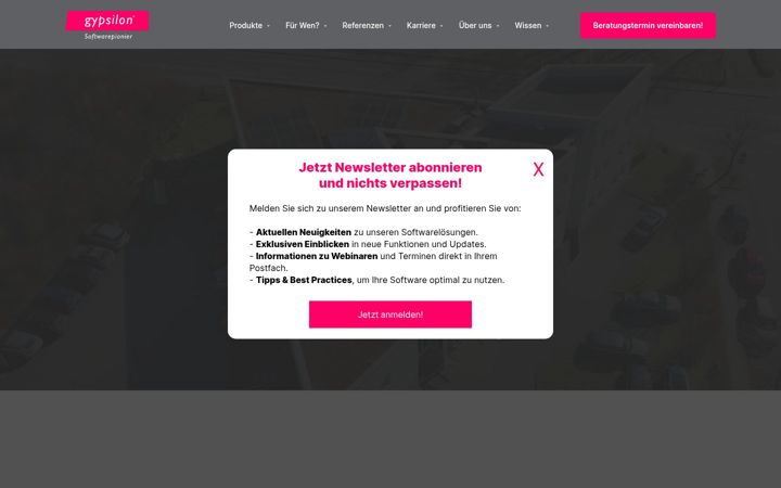 Screenshot of gypsilon.de