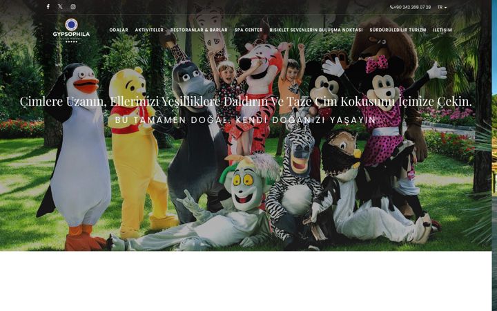 Screenshot of gypsophilamarine.com