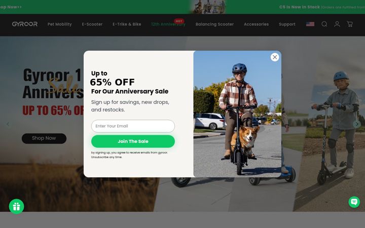Snímek obrazovky gyroorboard.com