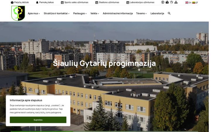 Screenshot of gytariai.lt