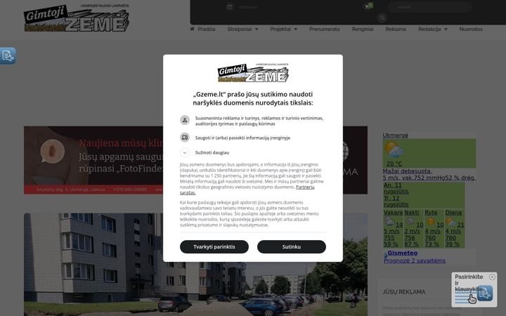 Screenshot of gzeme.lt