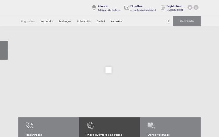 Screenshot of gzklinika.lt