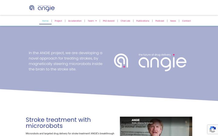 Screenshot of h2020-angie.eu