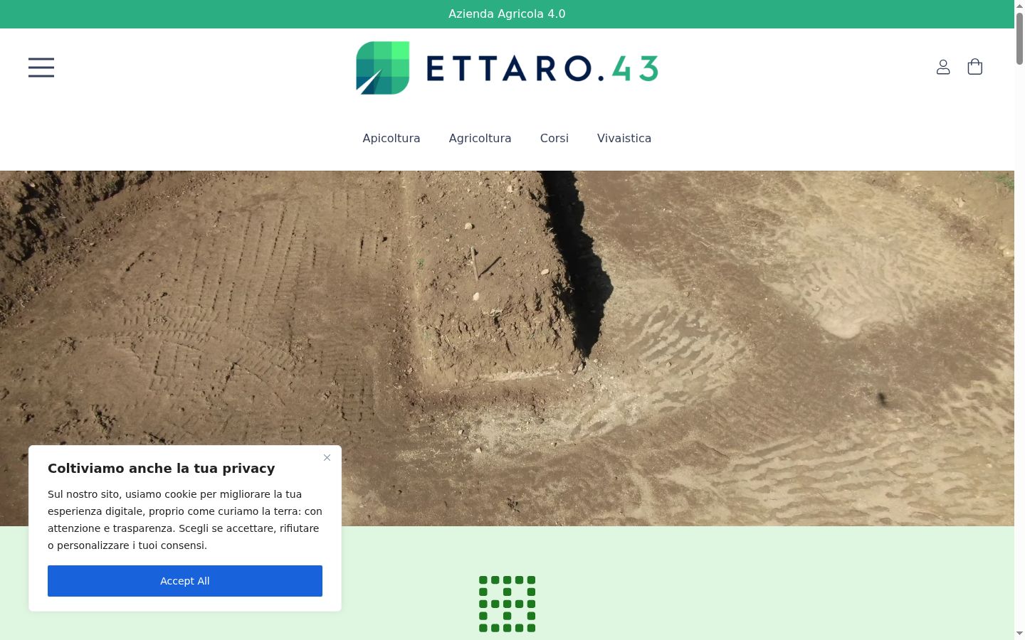 Screenshot del banner di consenso mostrato prima di qualsiasi interazione
