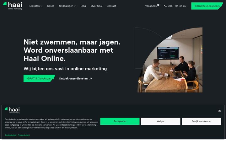Screenshot of haai.online