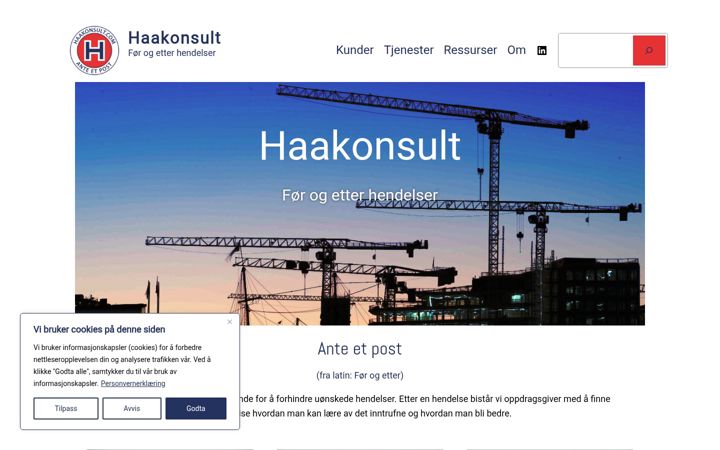 Screenshot of haakonsult.com