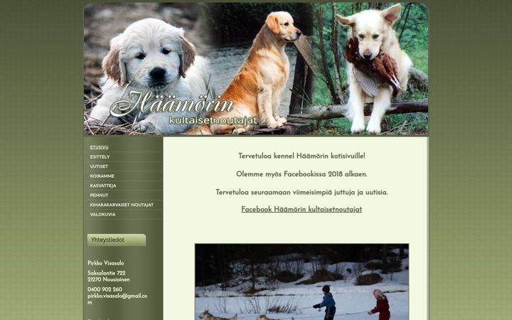 Screenshot of haamorin.com