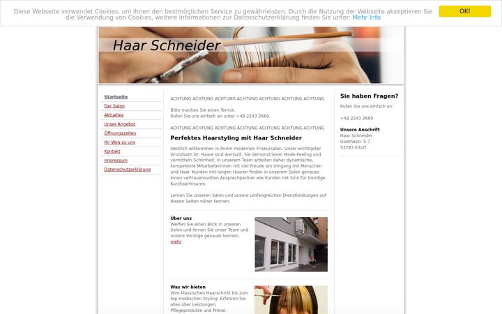 Screenshot of haar-schneider.net