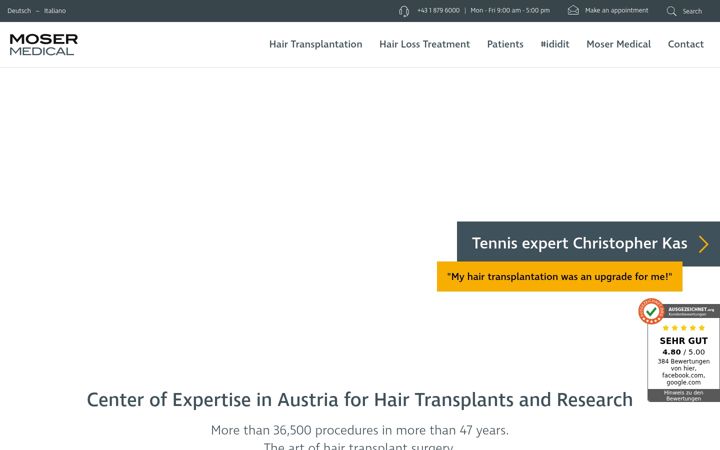 Snímek obrazovky haarestattglatze.com