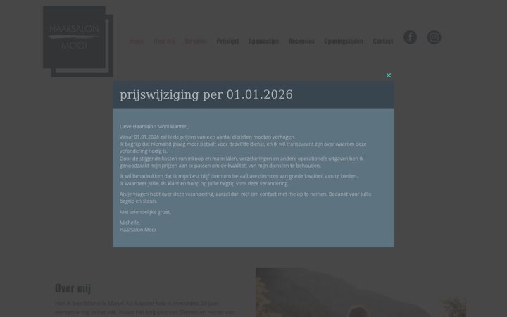 Screenshot of haarsalonmooi.nl