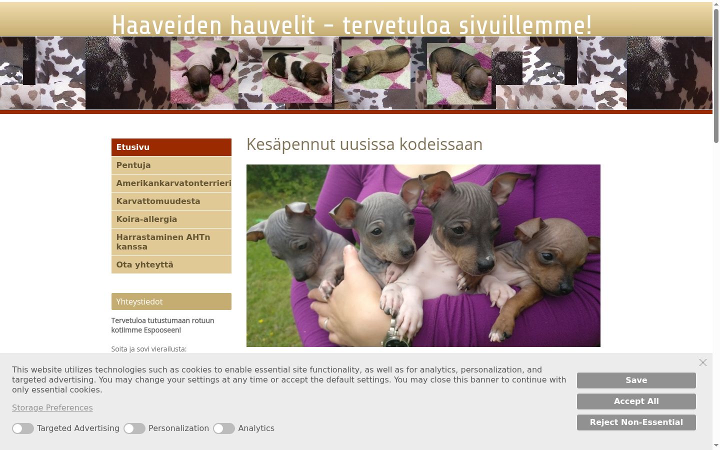 Screenshot des Einwilligungsbanners vor jeglicher Interaktion