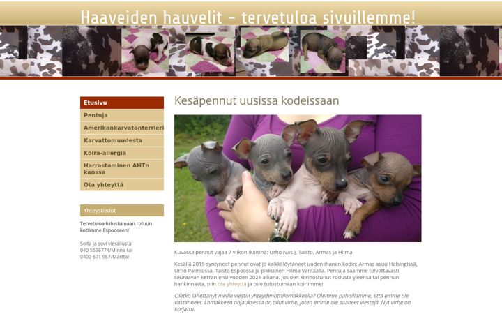 Screenshot of haaveiden.net
