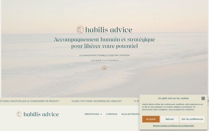 Screenshot of habilis-advice.com