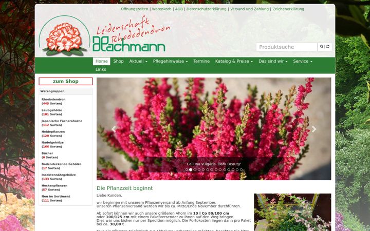 Screenshot of hachmann.de