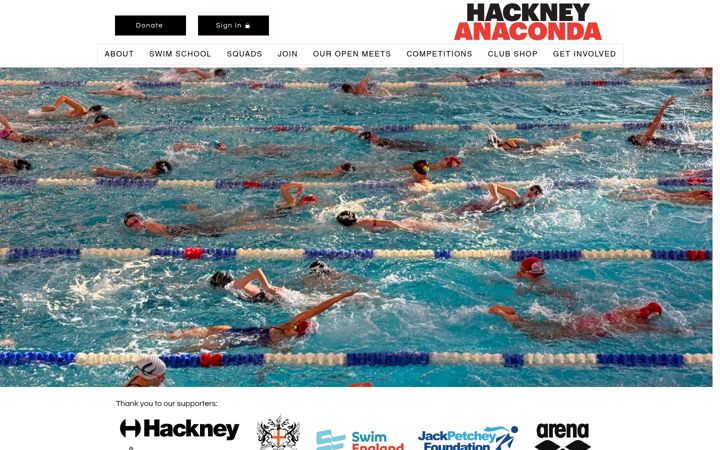 Screenshot of hackneyanaconda.org