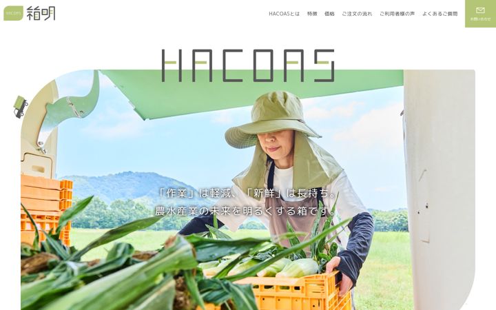 Screenshot of hacoas.com