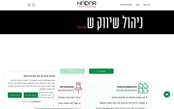 Screenshot of hadar-s-marketing.com