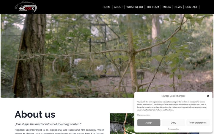 Screenshot of haddockpictures.com