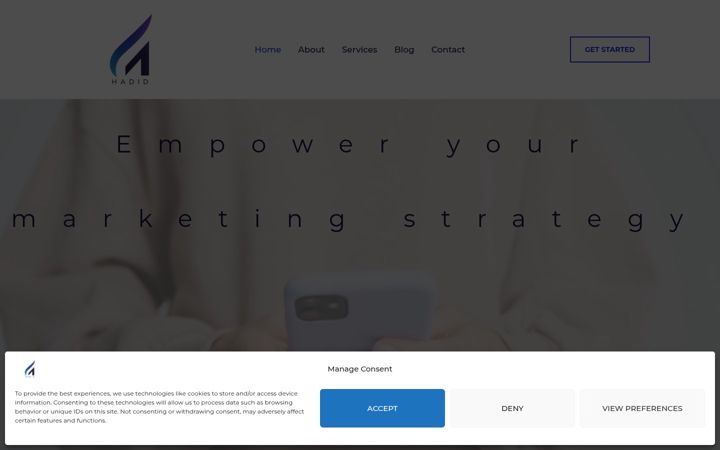 Screenshot of hadiddigitalstrategies.com