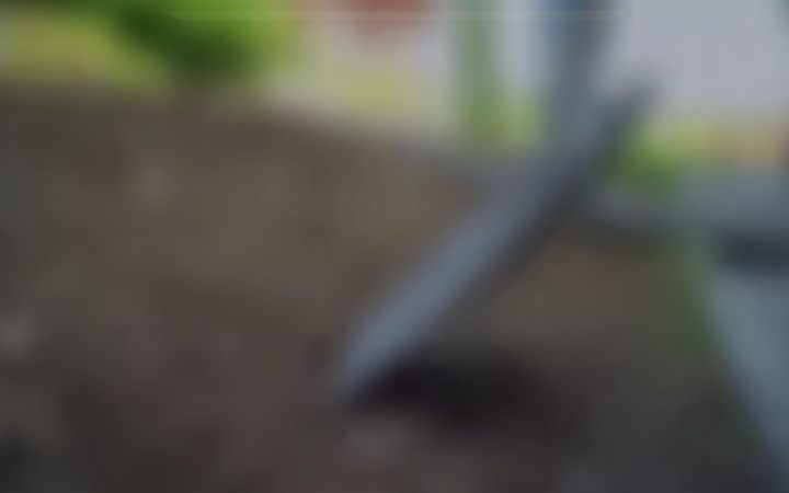 Screenshot of haenni-gartenbau.ch