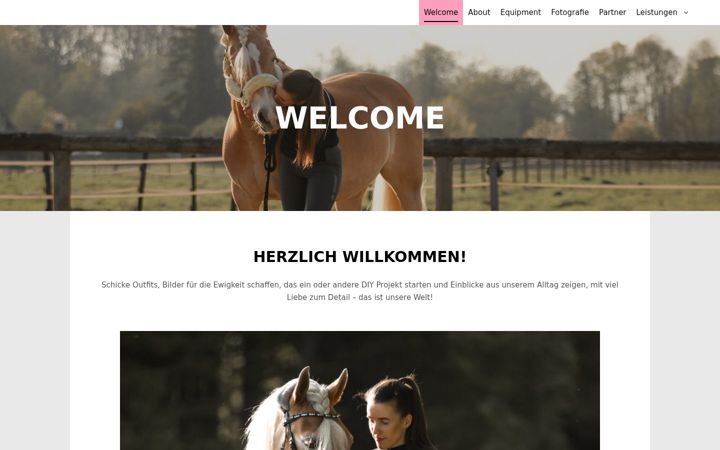 Screenshot of hafisdiary.de