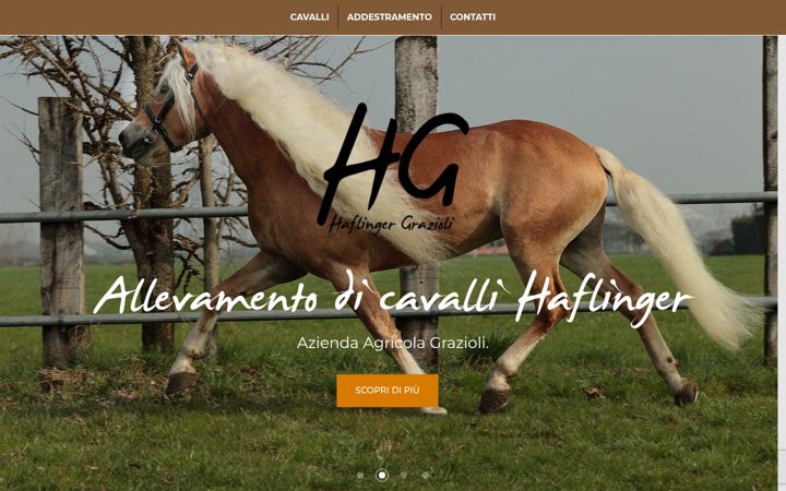 Screenshot of haflingergrazioli.it