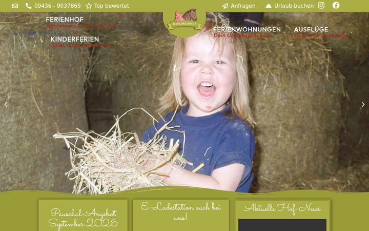 Screenshot of haflingerhof-doll.de
