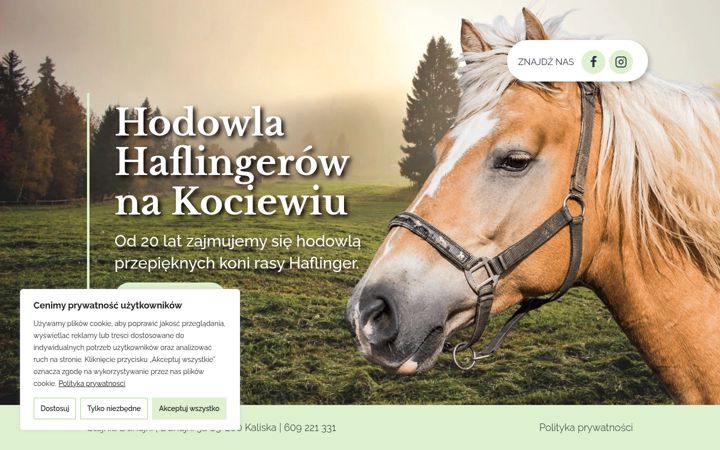 Screenshot of haflingery.pl