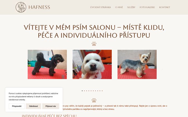 Screenshot of hafness.cz