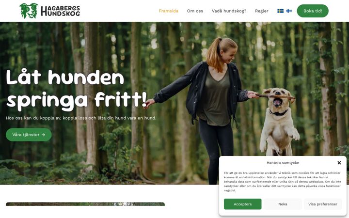 Screenshot of hagaberg.fi