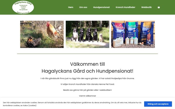 Screenshot of hagalyckan.se