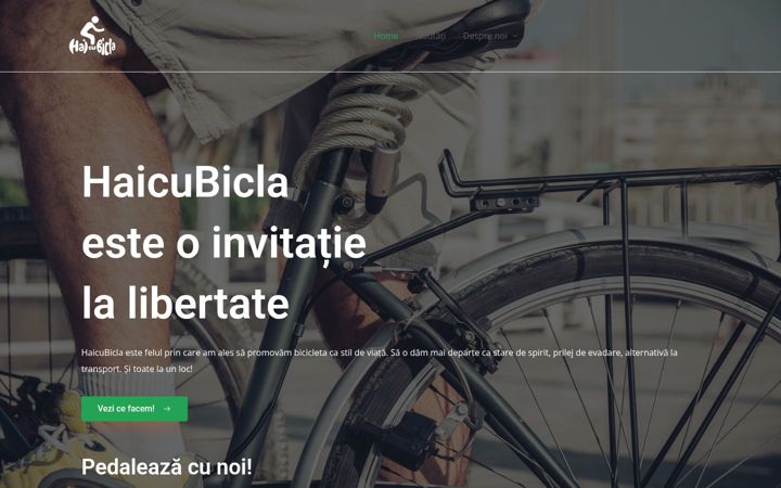 Screenshot von haicubicla.ro