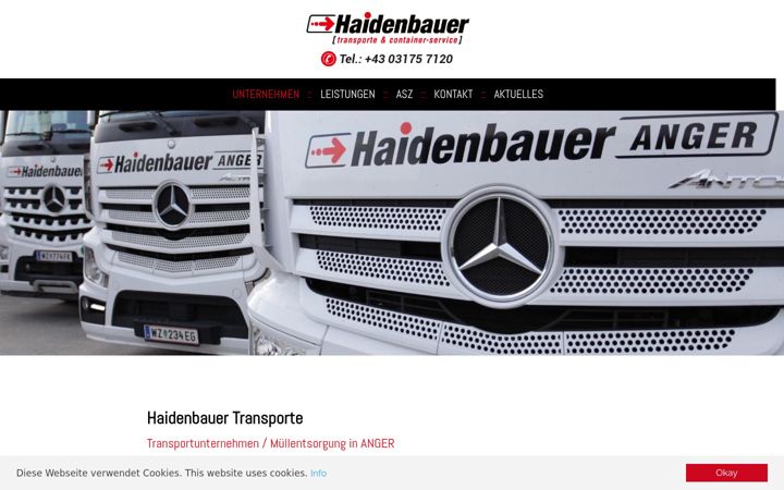 Screenshot of haidenbauer.com