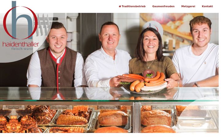 Screenshot of haidenthaller.com