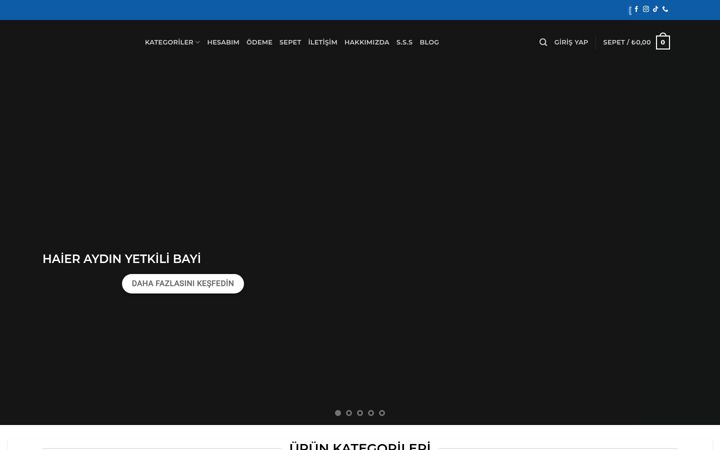 Screenshot of haieraydin.com
