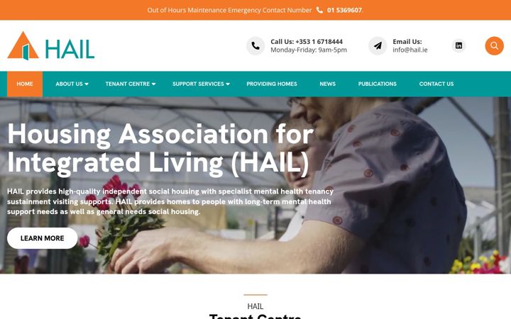 Screenshot of hail.ie