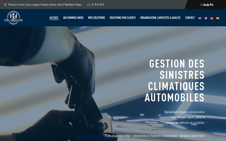 Screenshot of hailhandlingservices.com