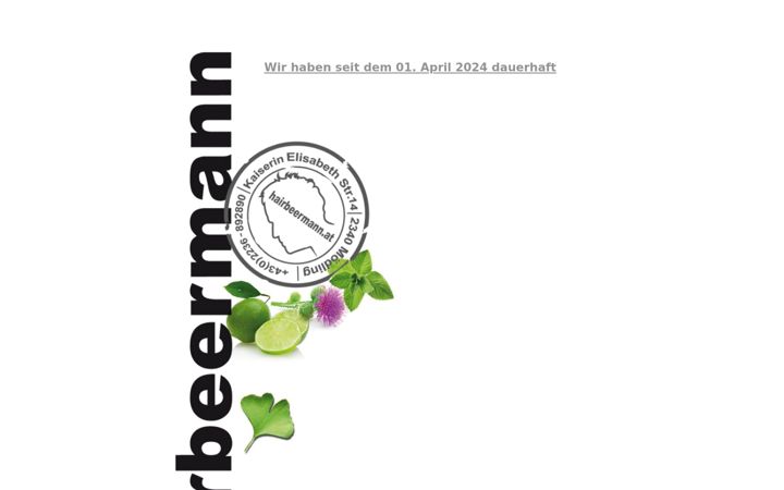 Screenshot of hairbeermann.at