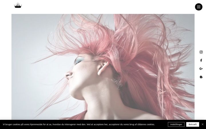 Screenshot of hairdeluxe-horsens.dk