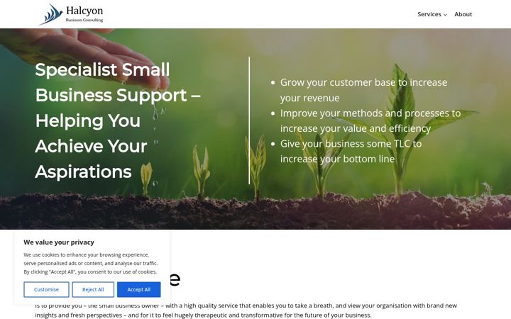 Screenshot of halcyon-bc.com