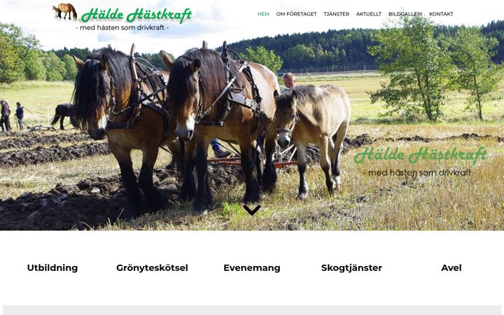 haldehastkraft.se